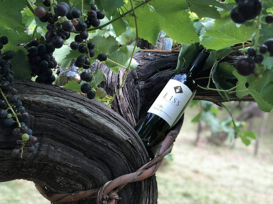 Tenuta San Francesco Salerno