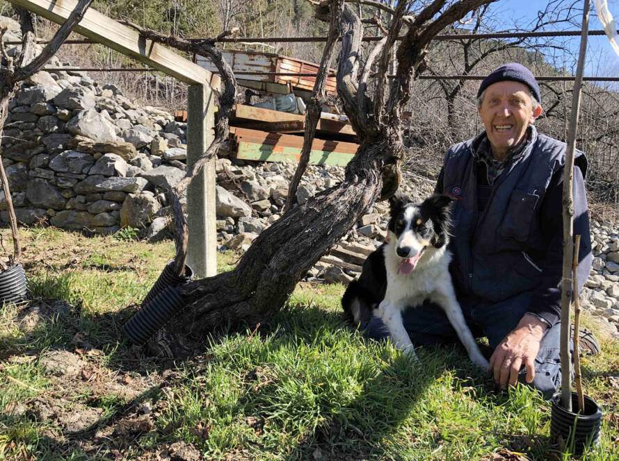Azienda VitiVinicola Bunet Piero