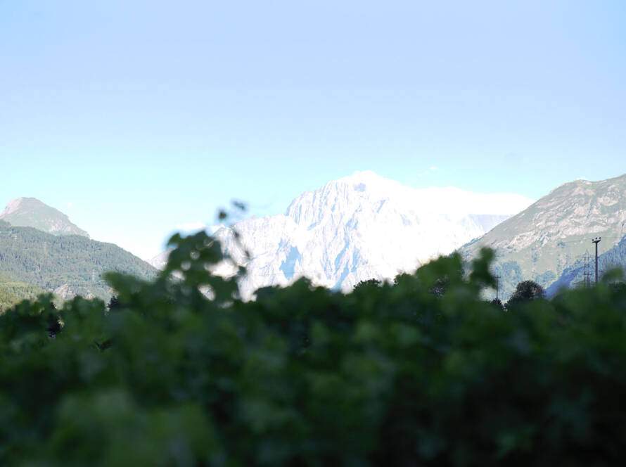 Cave Mont Blanc